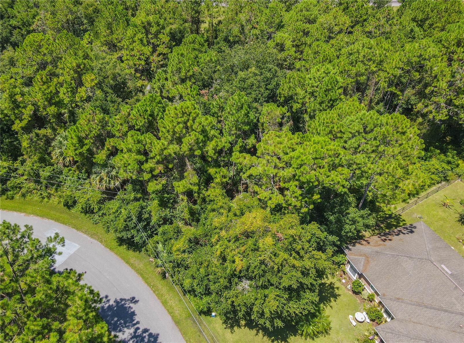 47 FANSHAWE LN, PALM COAST, FL, 32137