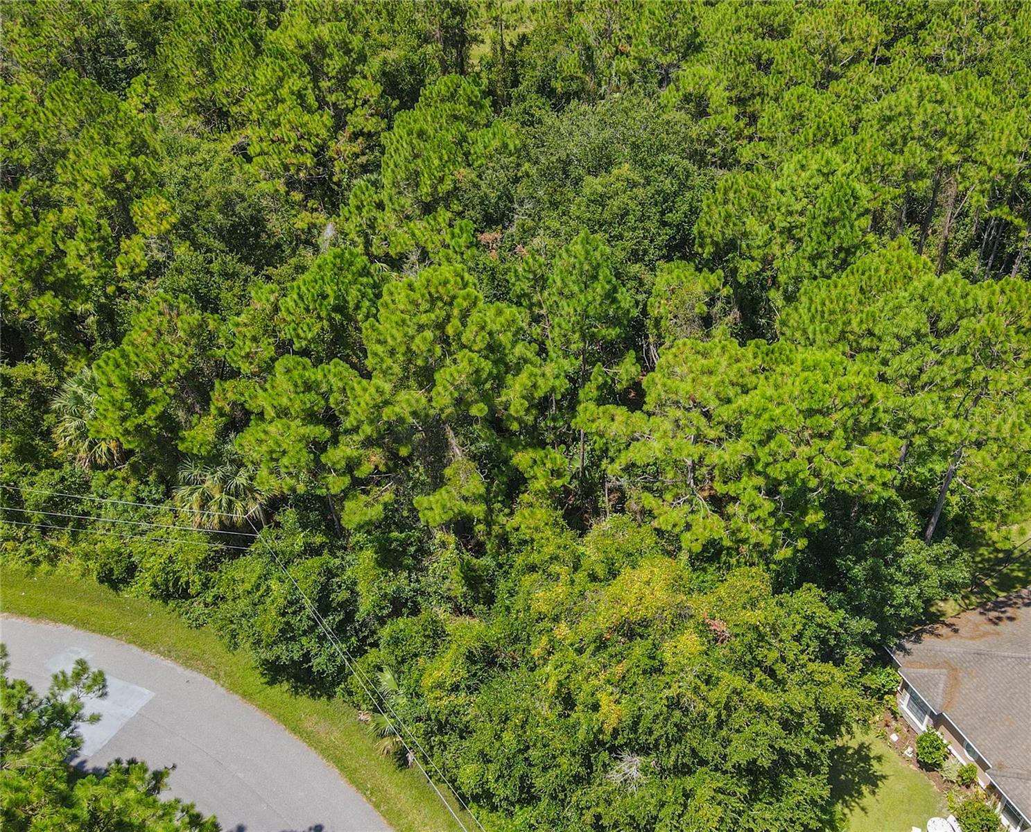 47 FANSHAWE LN, PALM COAST, FL, 32137