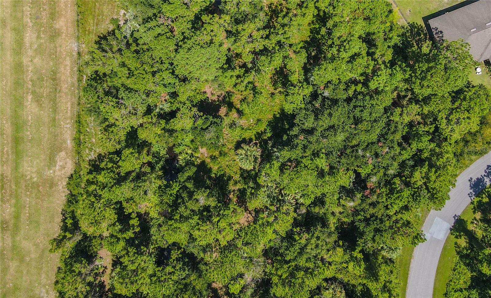 47 FANSHAWE LN, PALM COAST, FL, 32137