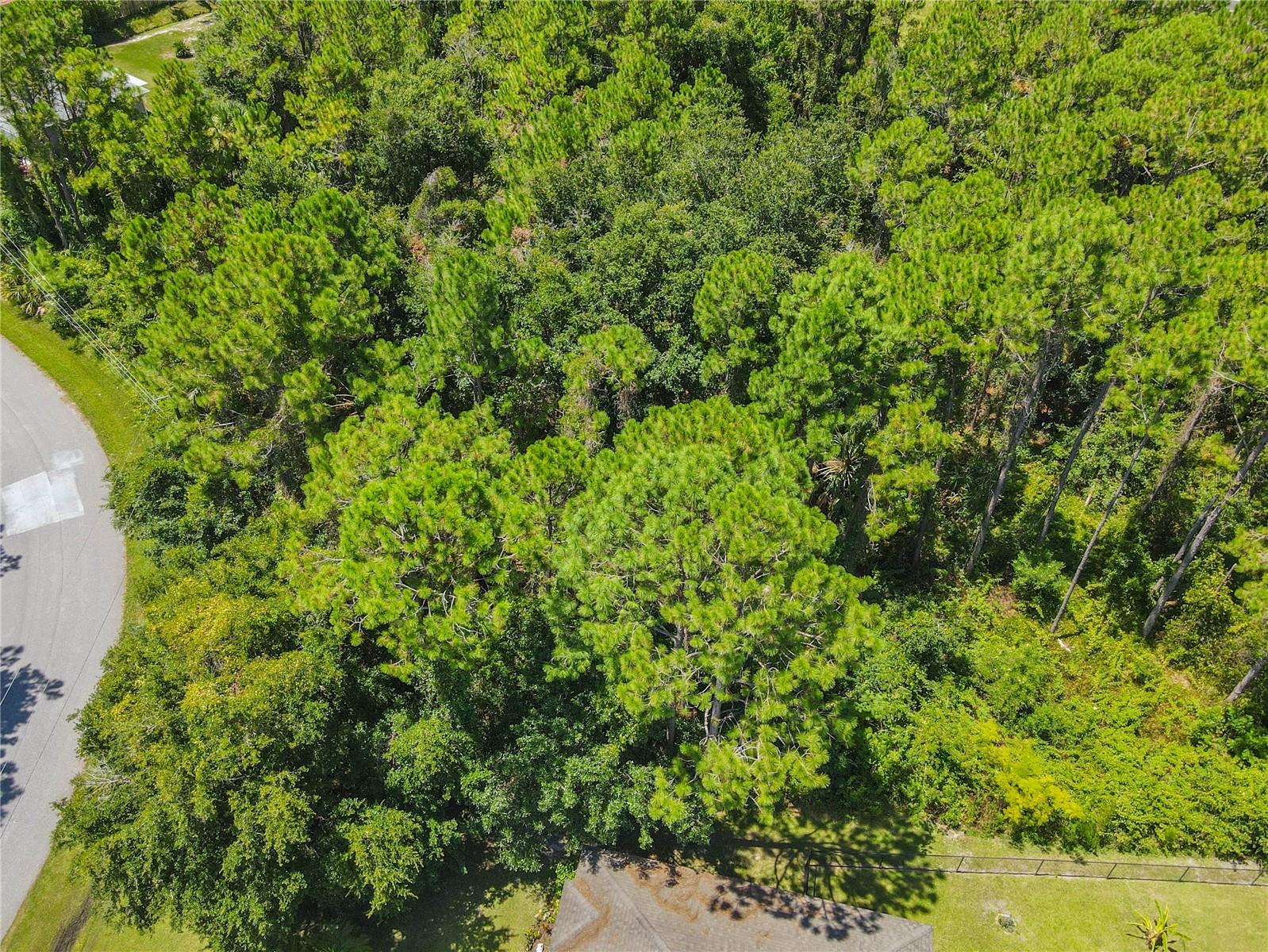 47 FANSHAWE LN, PALM COAST, FL, 32137