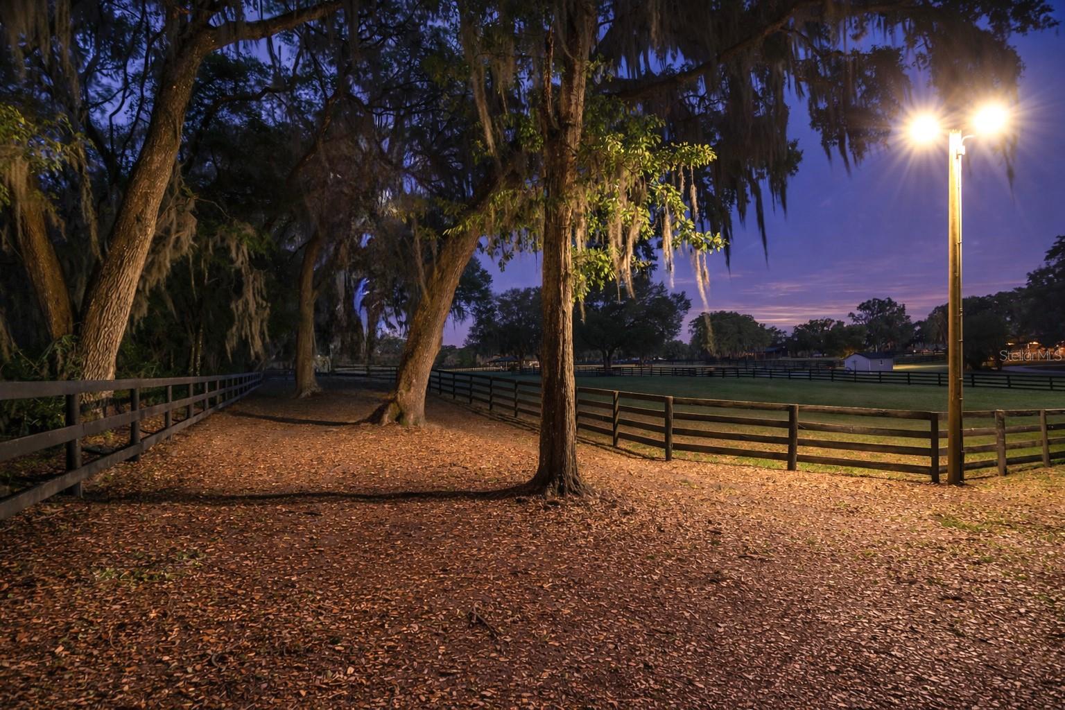 14650 NW 160TH AVE, WILLISTON, FL, 32696