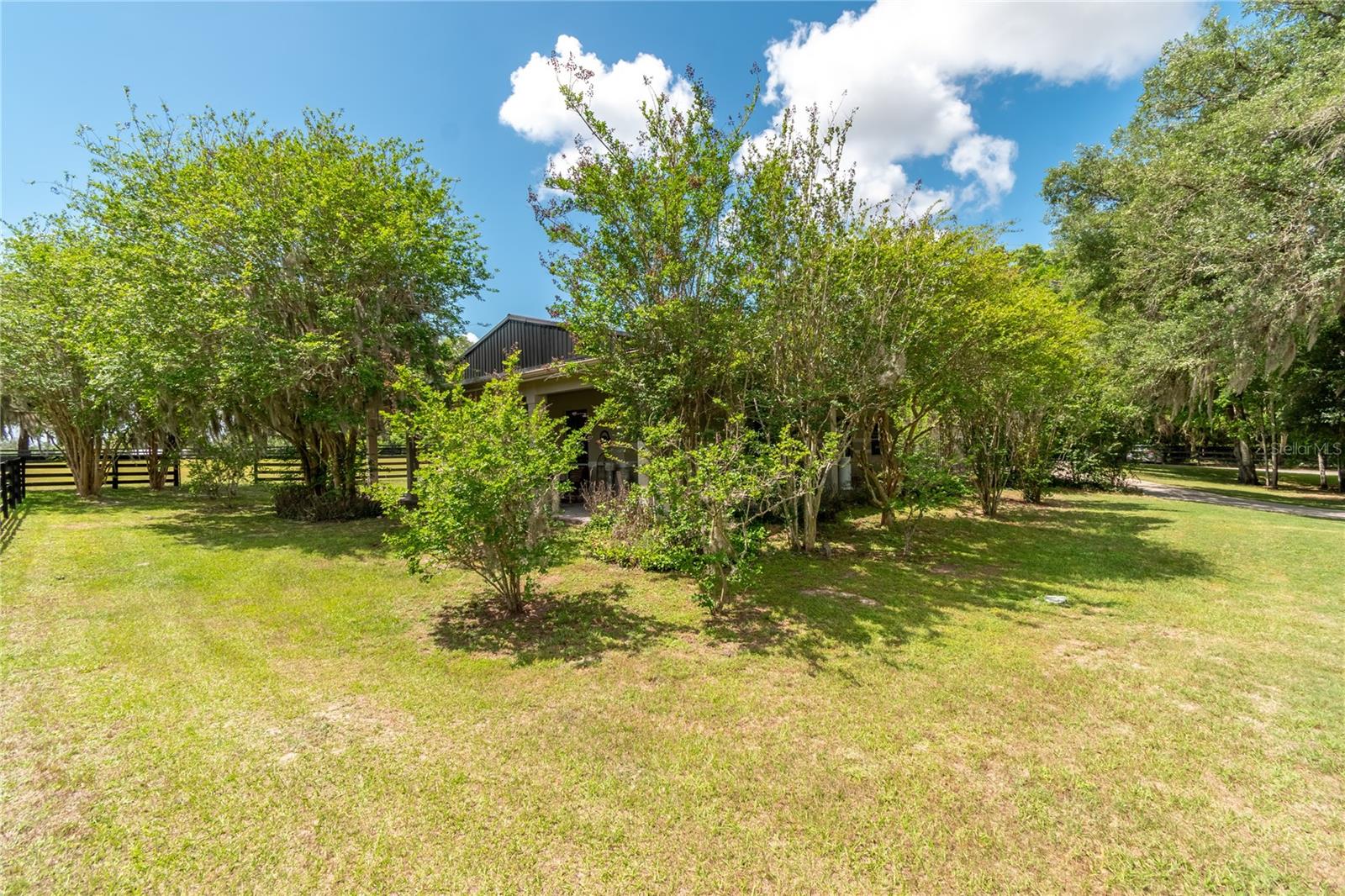 14650 NW 160TH AVE, WILLISTON, FL, 32696