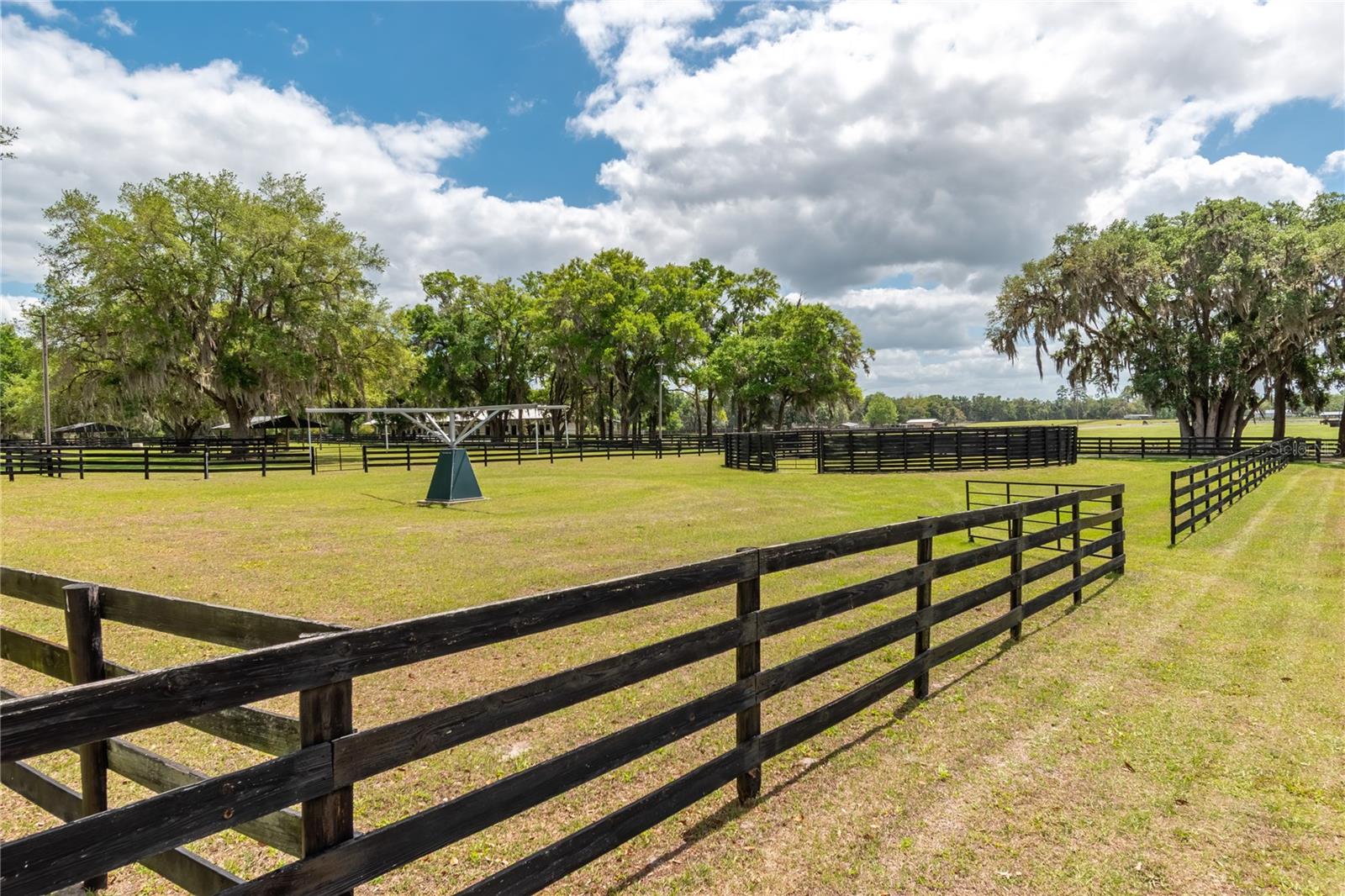 14650 NW 160TH AVE, WILLISTON, FL, 32696