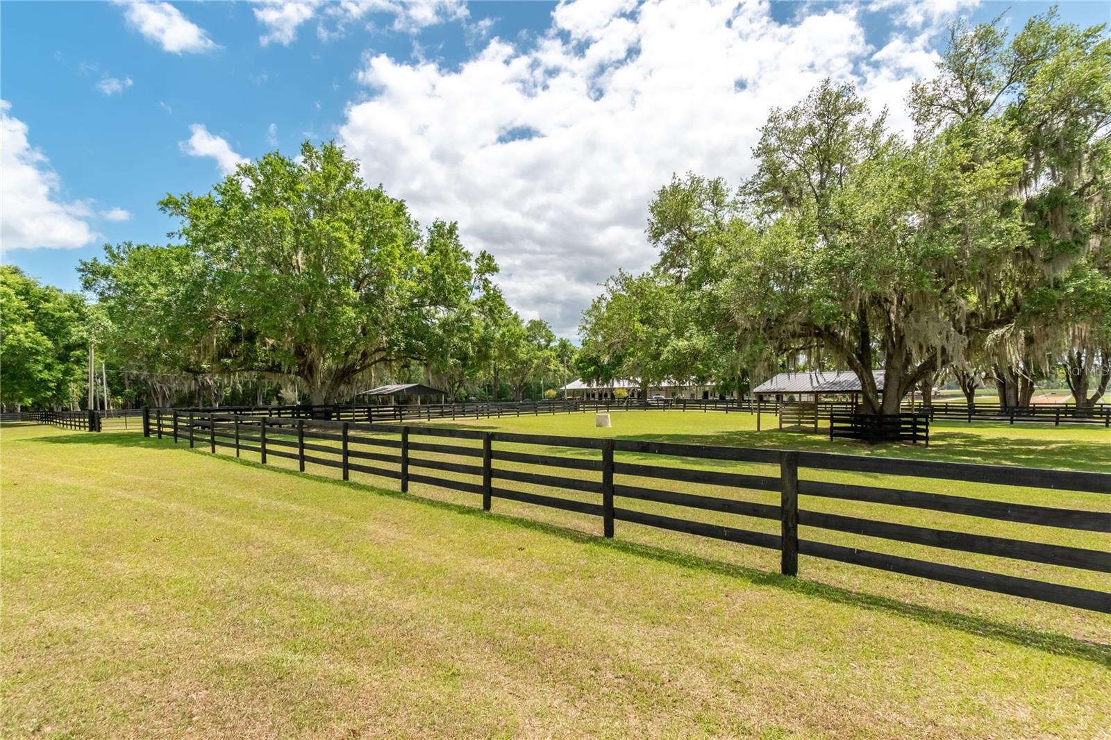 14650 NW 160TH AVE, WILLISTON, FL, 32696