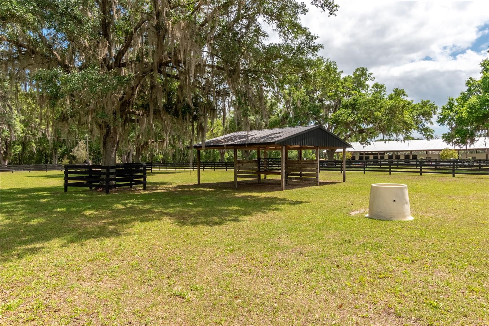 14650 NW 160TH AVE, WILLISTON, FL, 32696