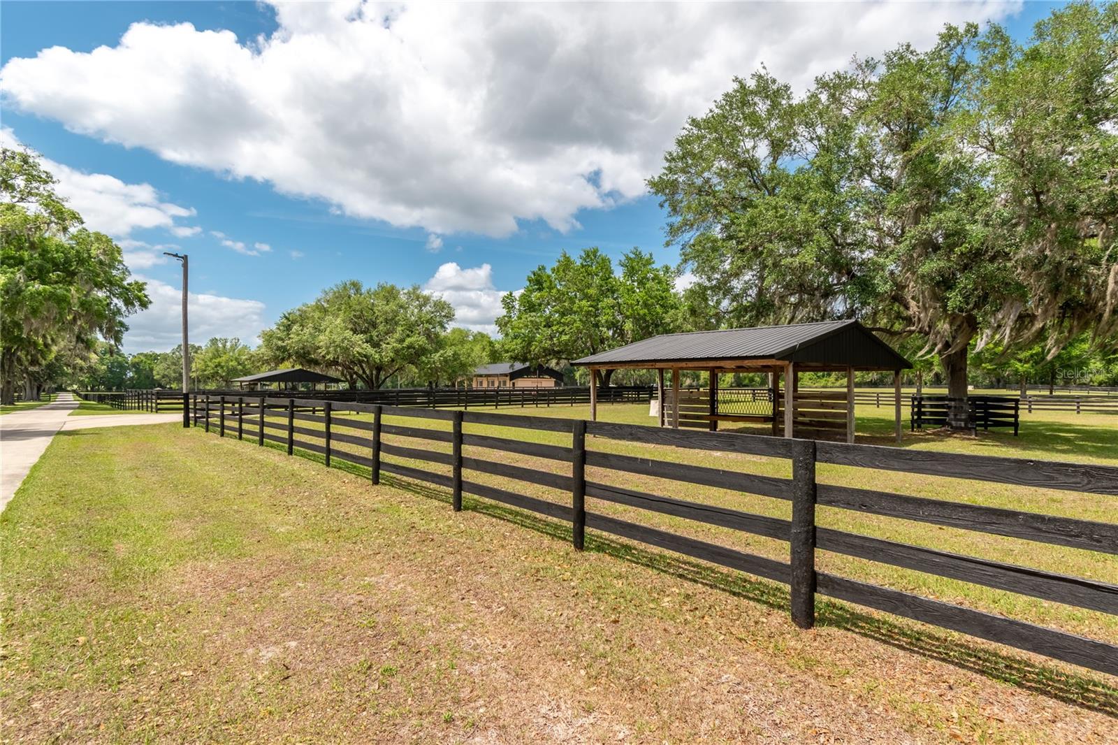 14650 NW 160TH AVE, WILLISTON, FL, 32696