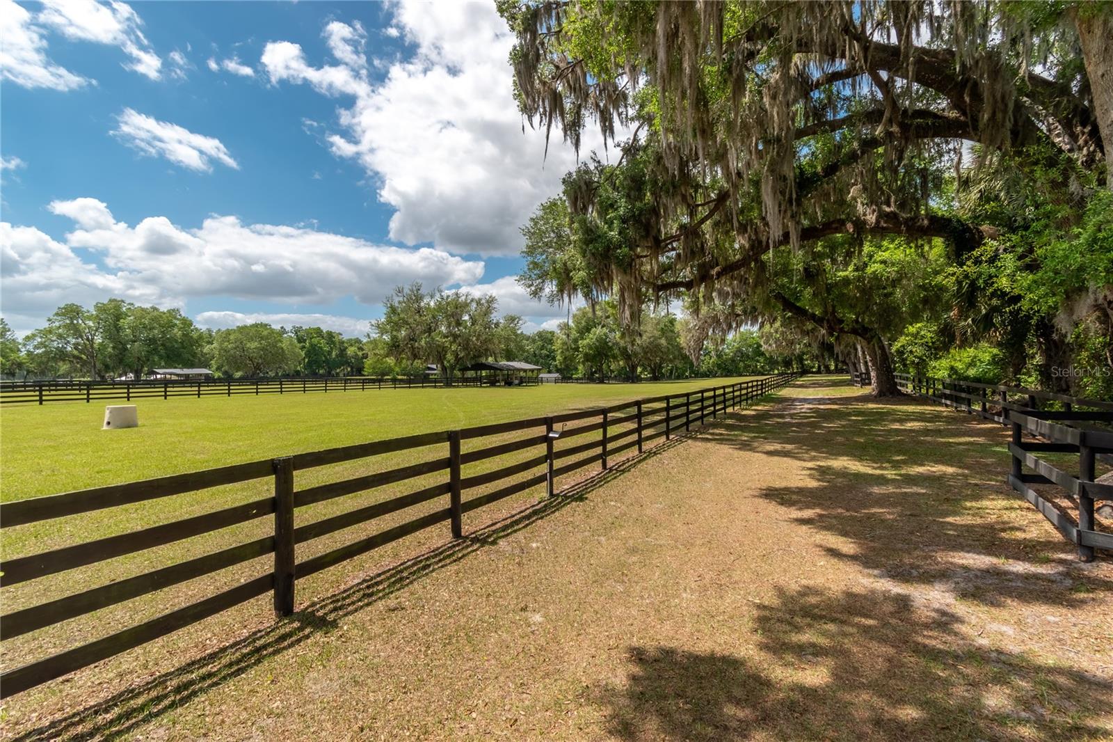 14650 NW 160TH AVE, WILLISTON, FL, 32696