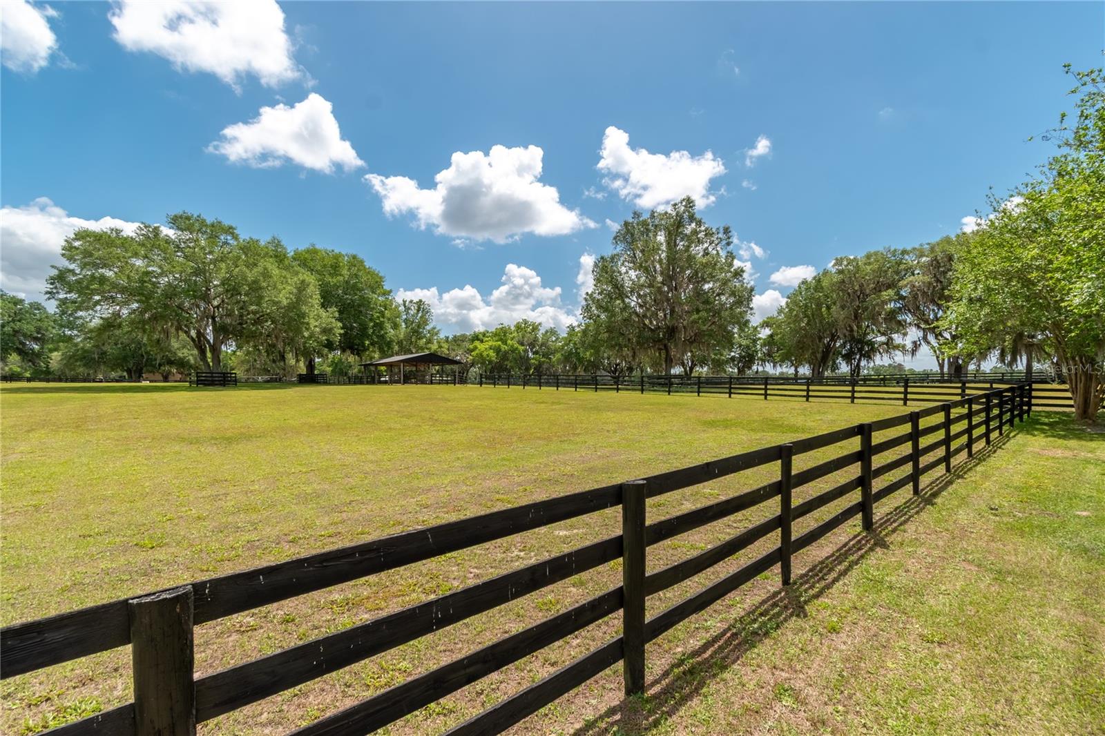 14650 NW 160TH AVE, WILLISTON, FL, 32696