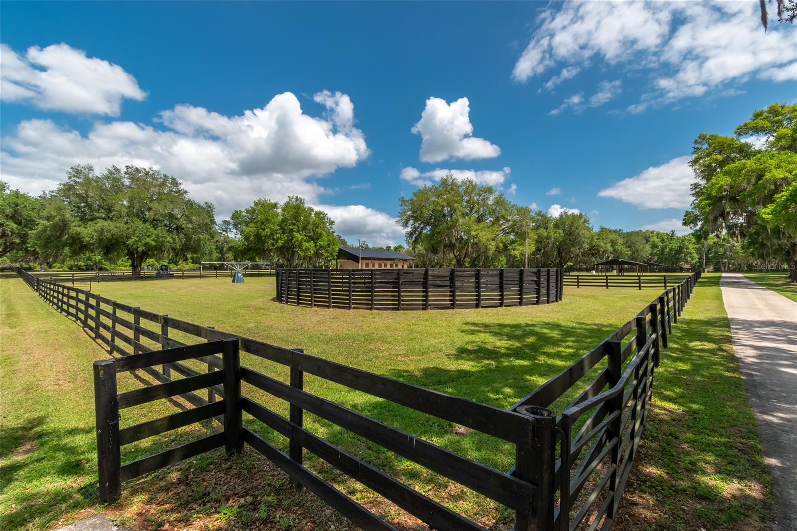 14650 NW 160TH AVE, WILLISTON, FL, 32696