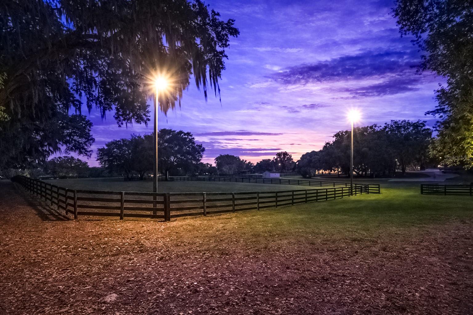 14650 NW 160TH AVE, WILLISTON, FL, 32696