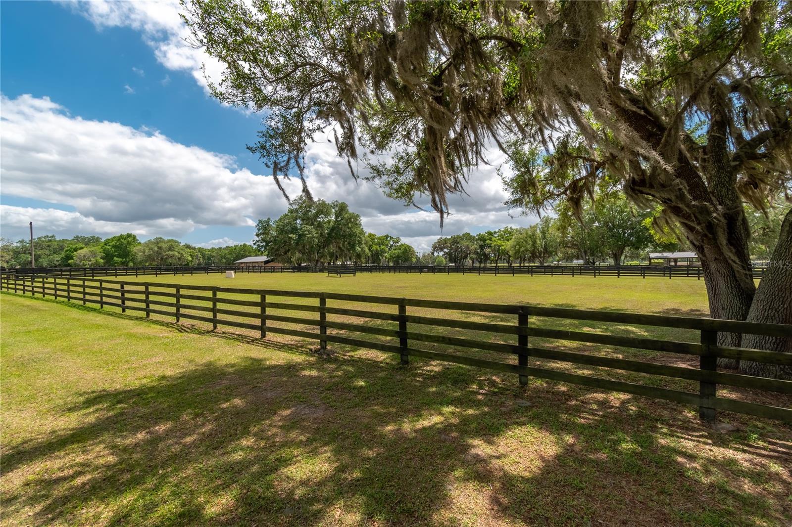 14650 NW 160TH AVE, WILLISTON, FL, 32696