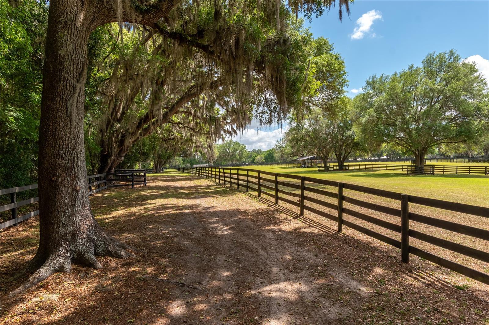 14650 NW 160TH AVE, WILLISTON, FL, 32696