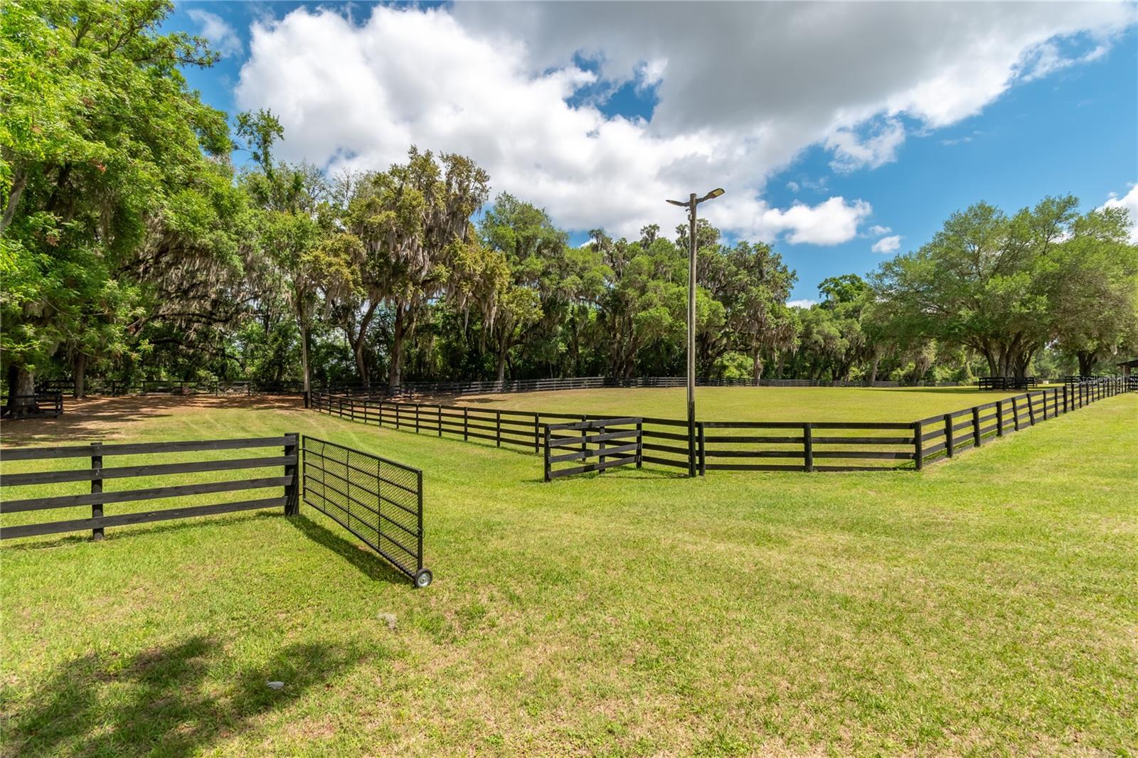 14650 NW 160TH AVE, WILLISTON, FL, 32696