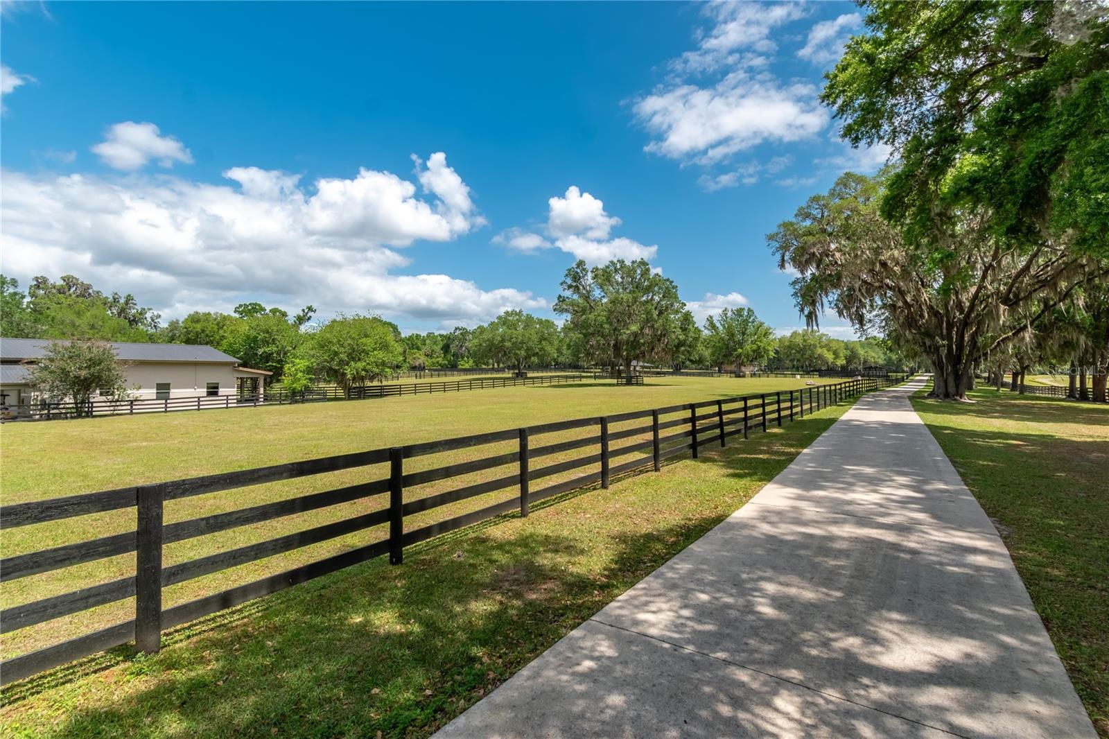 14650 NW 160TH AVE, WILLISTON, FL, 32696