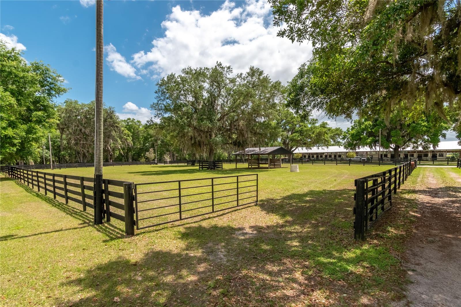 14650 NW 160TH AVE, WILLISTON, FL, 32696