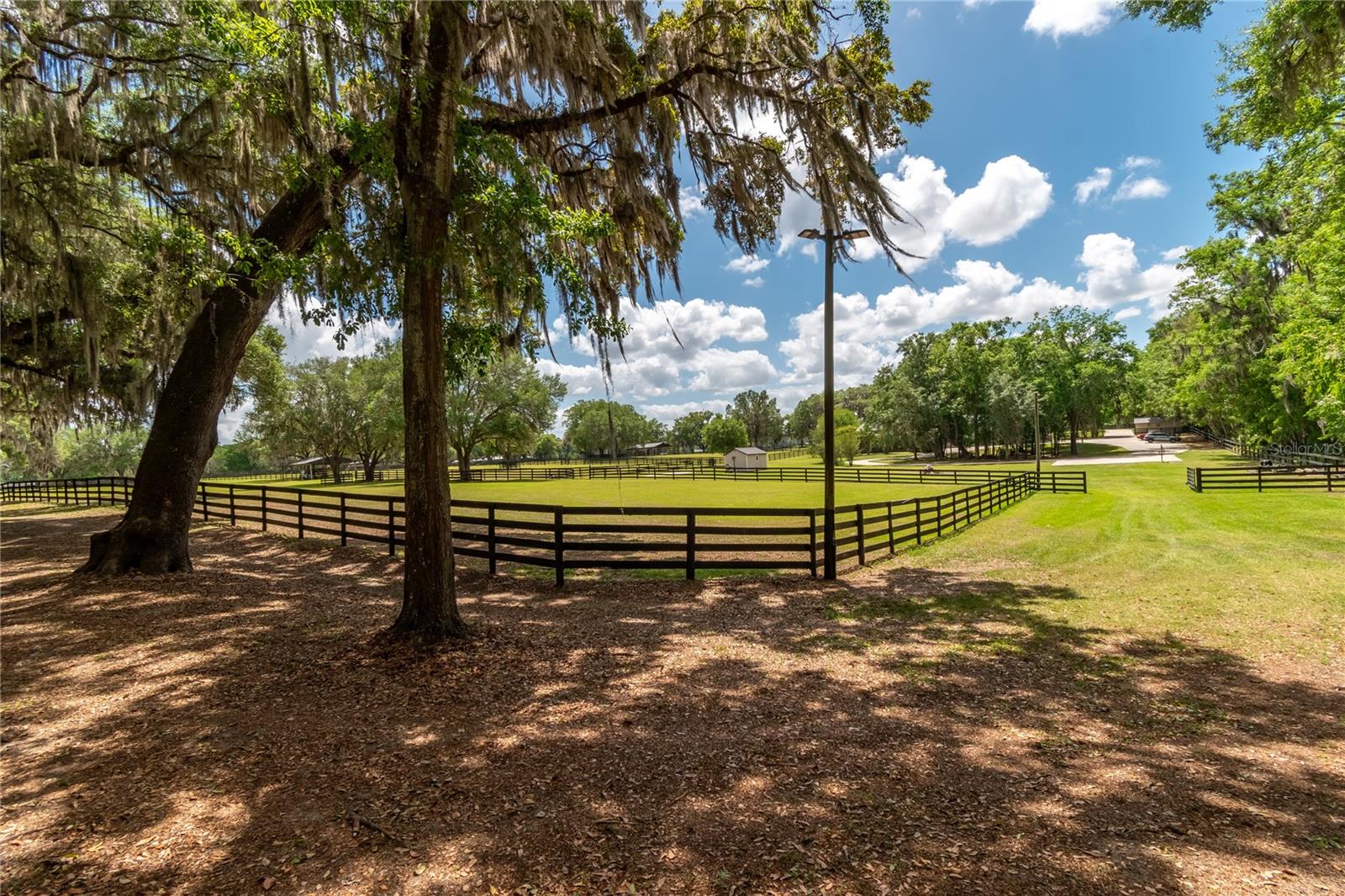 14650 NW 160TH AVE, WILLISTON, FL, 32696