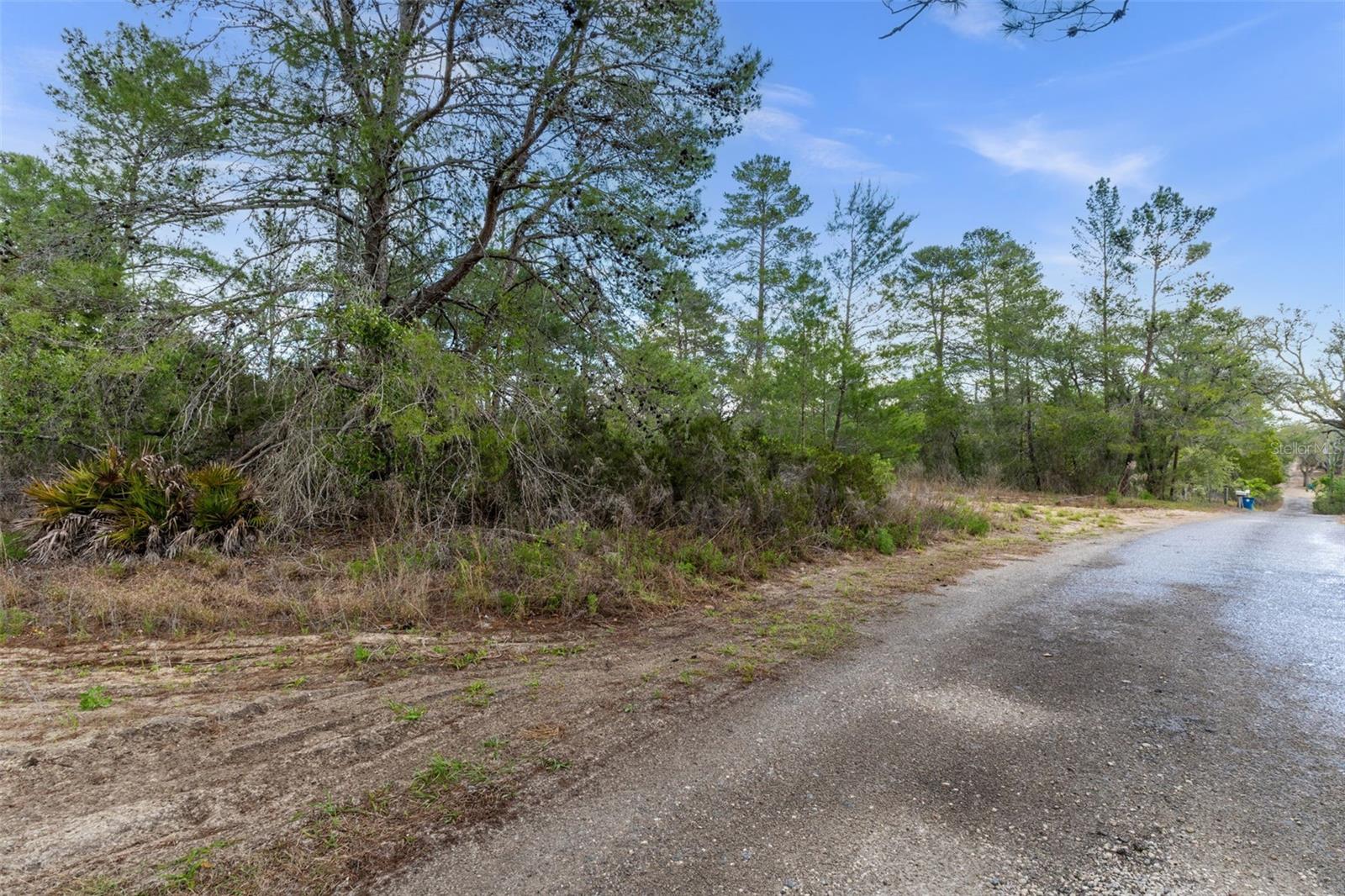 0 HARRISON ST, BROOKSVILLE, FL, 34613