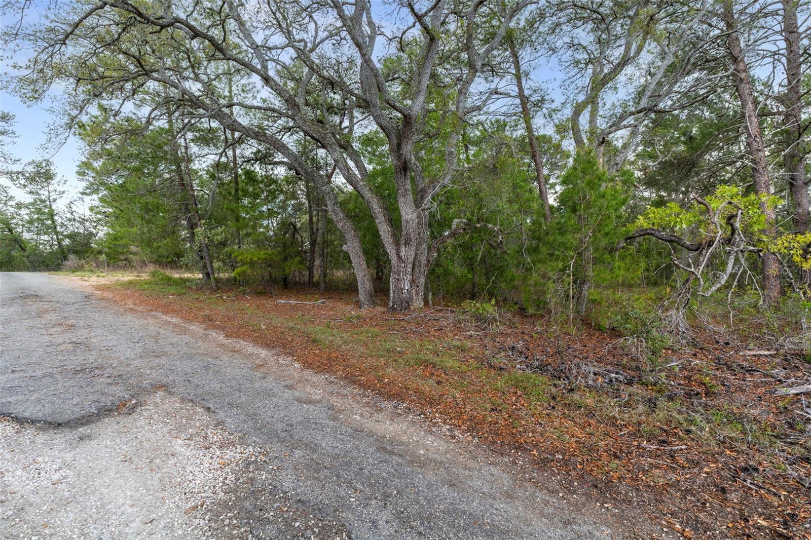 0 HARRISON ST, BROOKSVILLE, FL, 34613