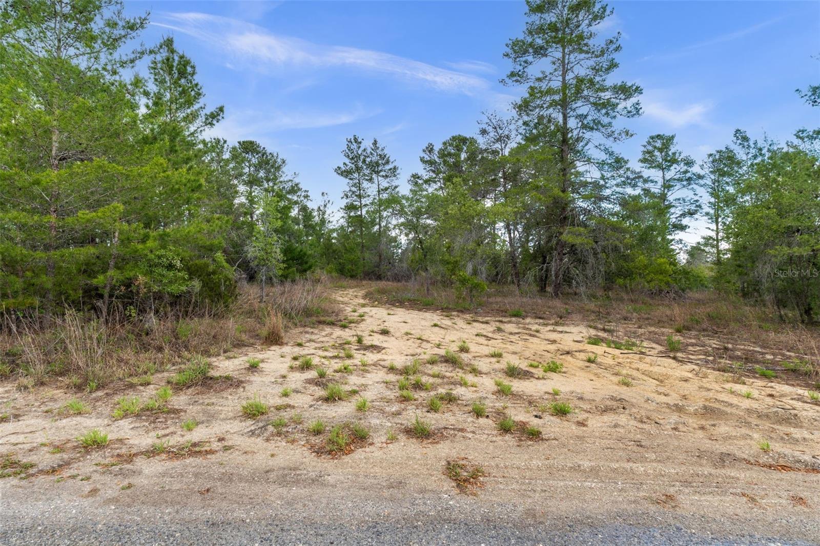 0 HARRISON ST, BROOKSVILLE, FL, 34613