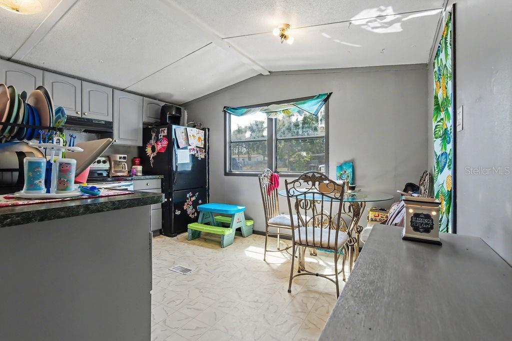14541 SE 91ST TER, SUMMERFIELD, FL, 34491