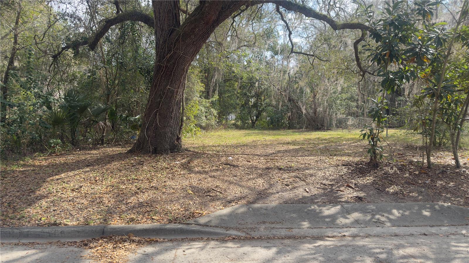 325 NE 19TH ST, GAINESVILLE, FL, 32641