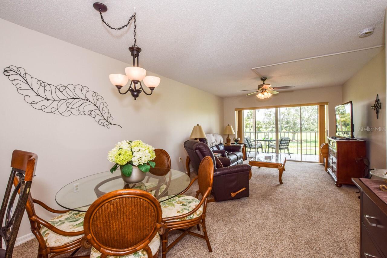 408 CERROMAR CIR S #236, VENICE, FL, 34293