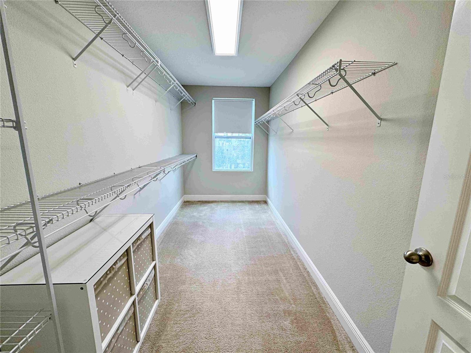 6154 HAMLIN RESERVE BLVD, WINTER GARDEN, FL, 34787
