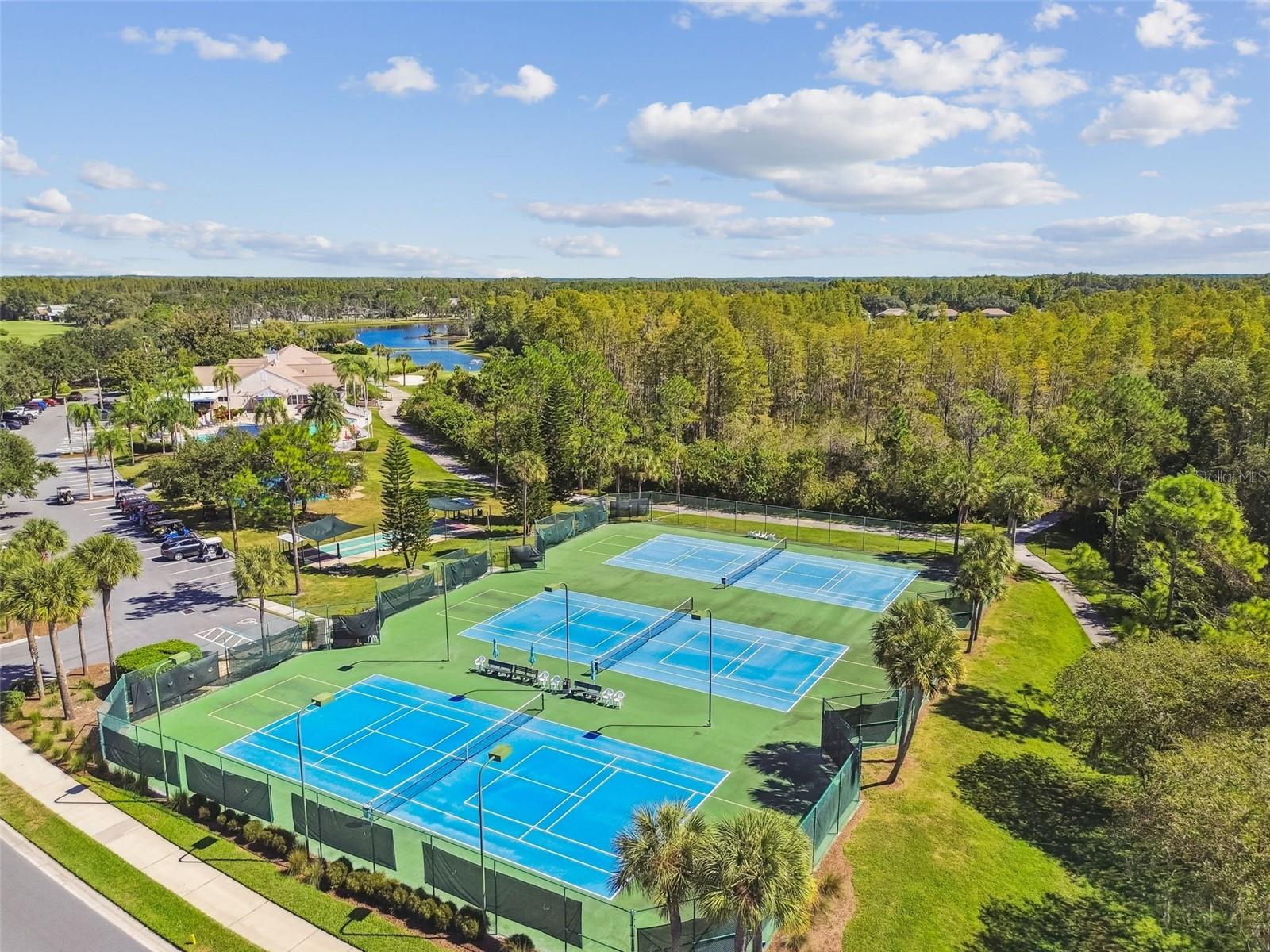 Tennis/Pickleball Courts
