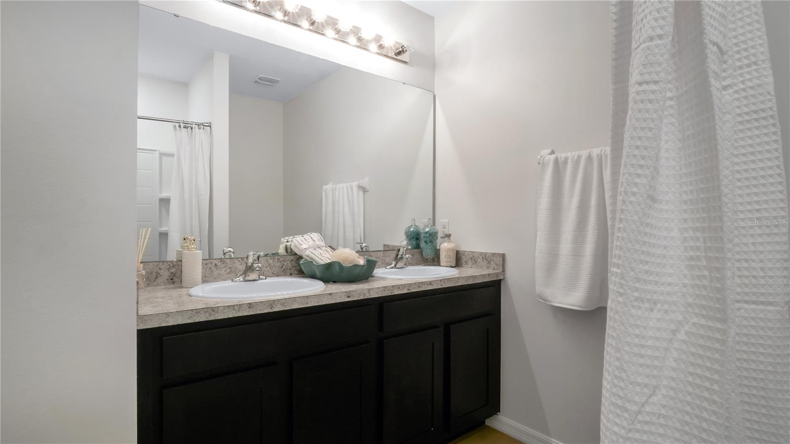 3503 DIAMOND LEAF CT, VALRICO, FL, 33594