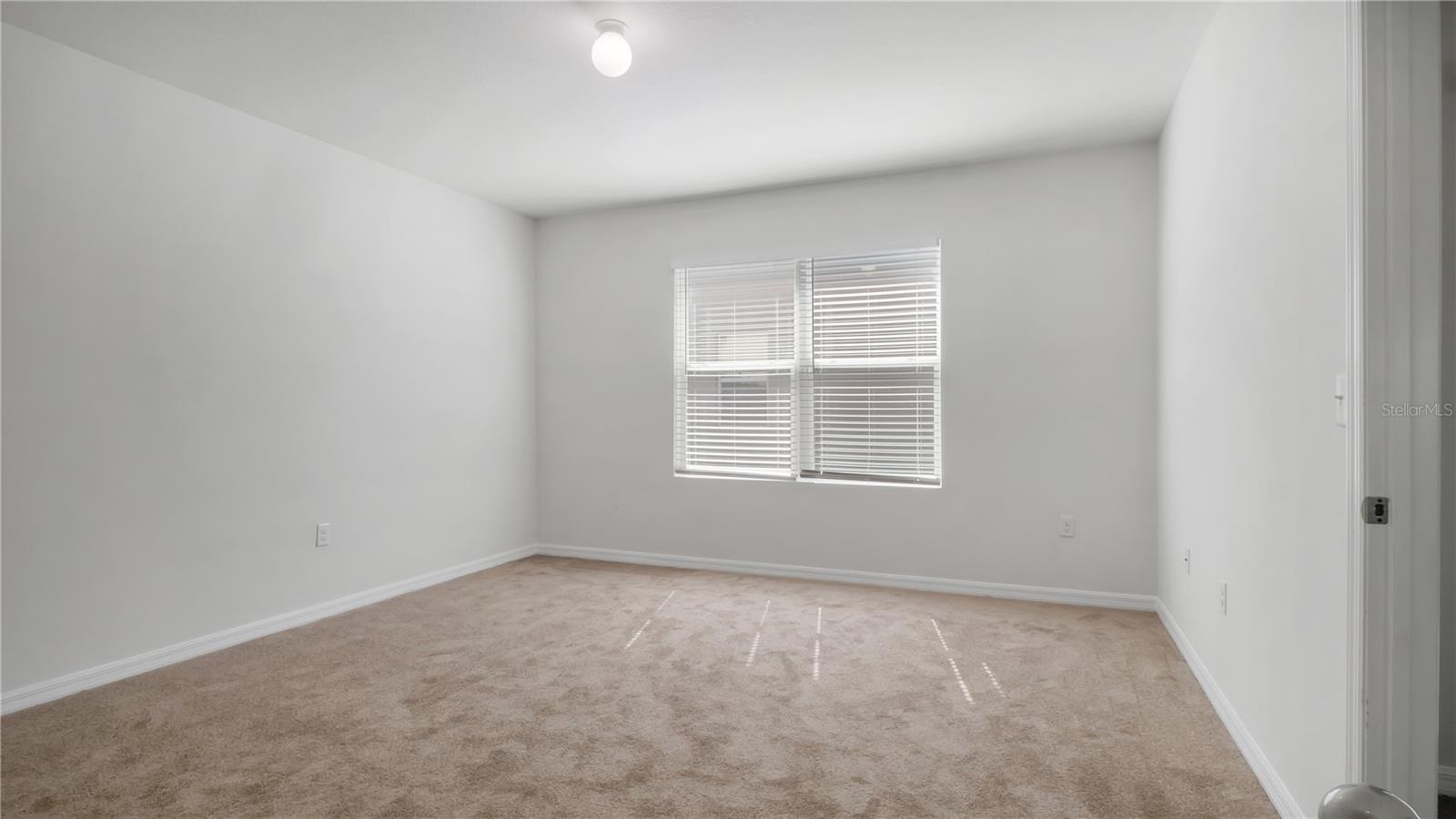3503 DIAMOND LEAF CT, VALRICO, FL, 33594