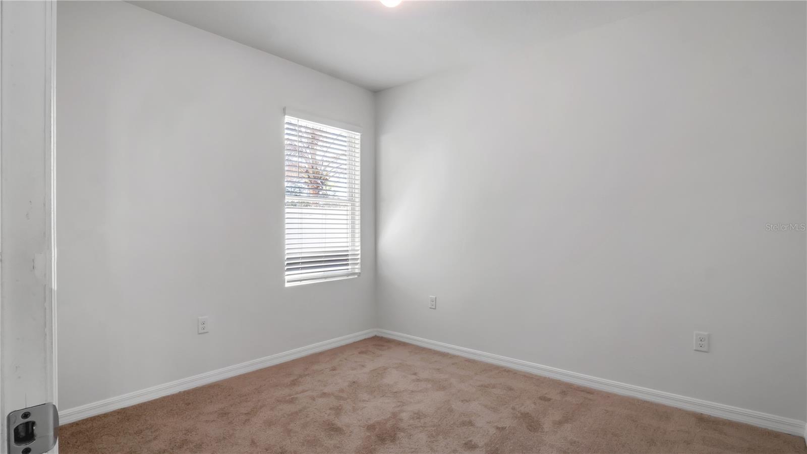 3503 DIAMOND LEAF CT, VALRICO, FL, 33594