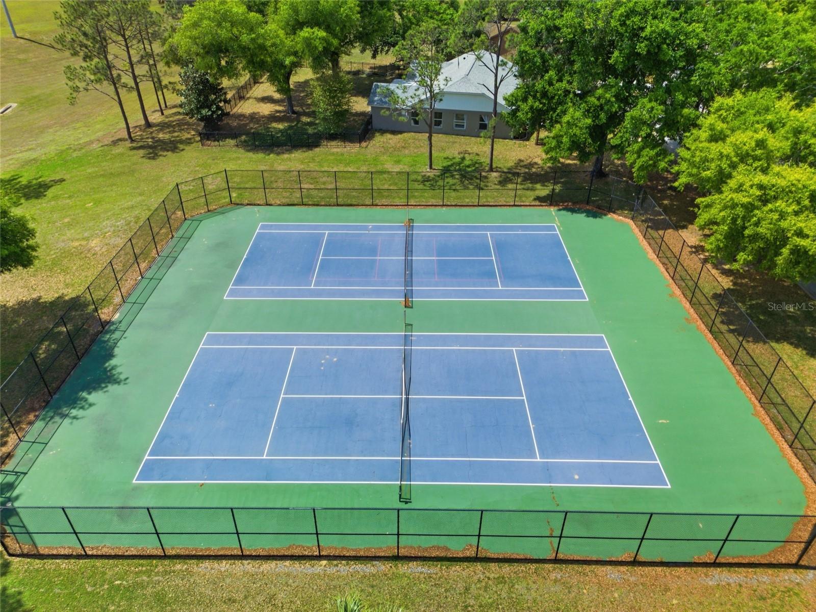 12830 SCOTTISH PINE LN, CLERMONT, FL, 34711