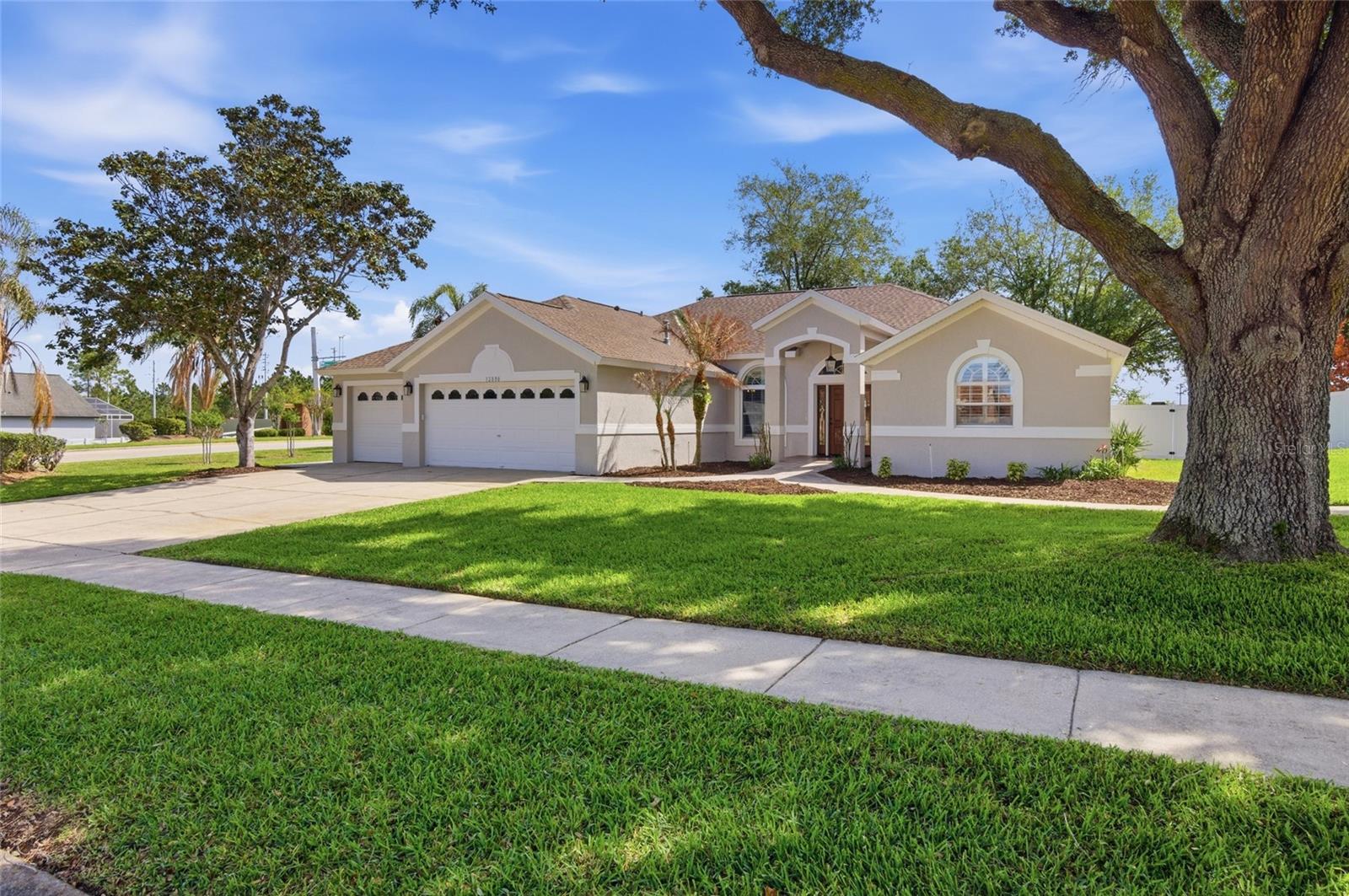 12830 SCOTTISH PINE LN, CLERMONT, FL, 34711