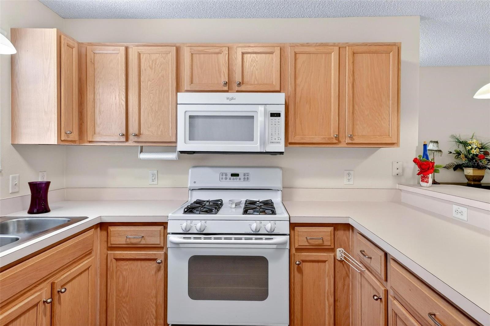 1088 GENNESSE LN, THE VILLAGES, FL, 32162