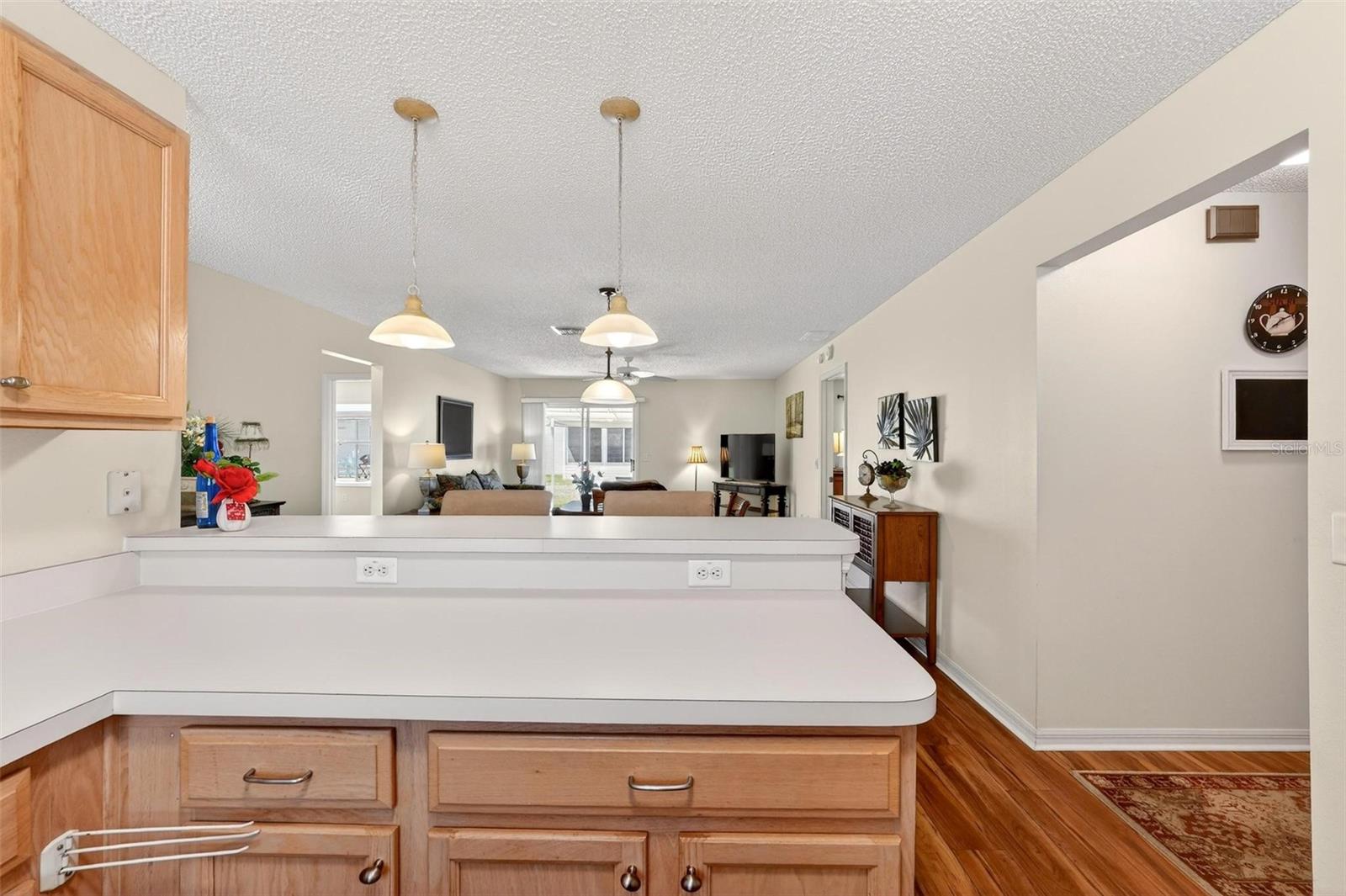 1088 GENNESSE LN, THE VILLAGES, FL, 32162