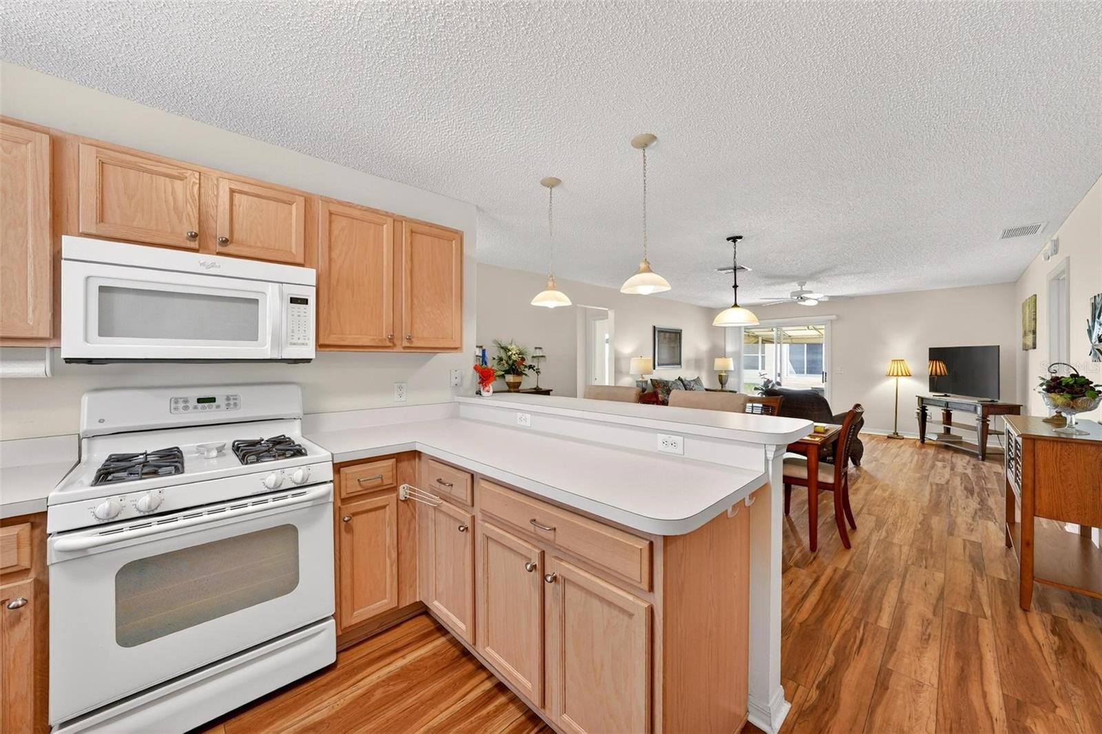 1088 GENNESSE LN, THE VILLAGES, FL, 32162