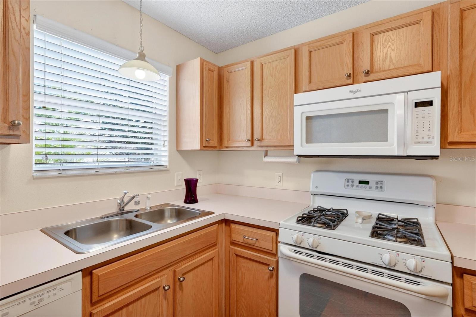 1088 GENNESSE LN, THE VILLAGES, FL, 32162