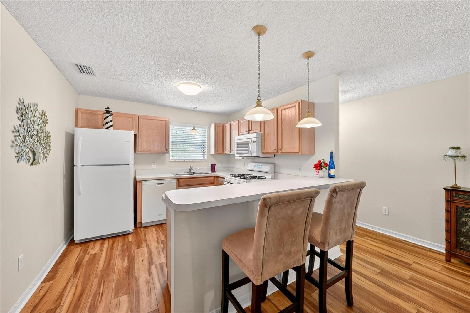 1088 GENNESSE LN, THE VILLAGES, FL, 32162