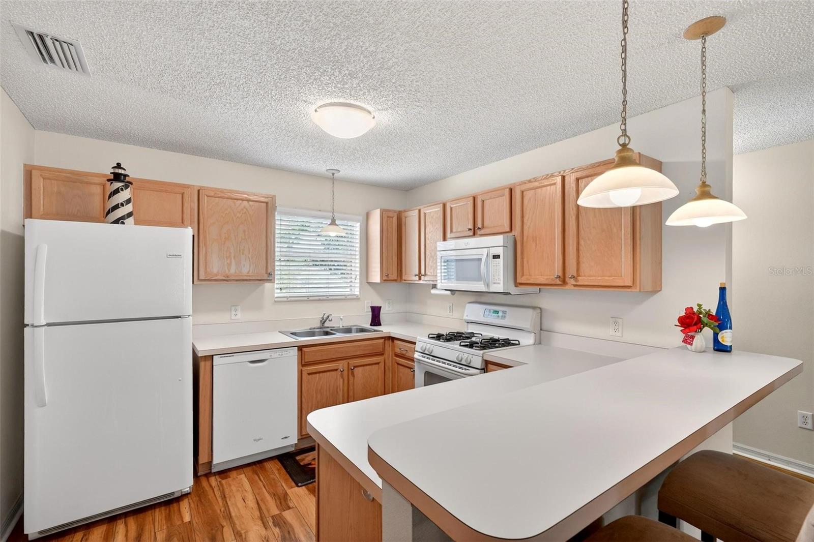 1088 GENNESSE LN, THE VILLAGES, FL, 32162