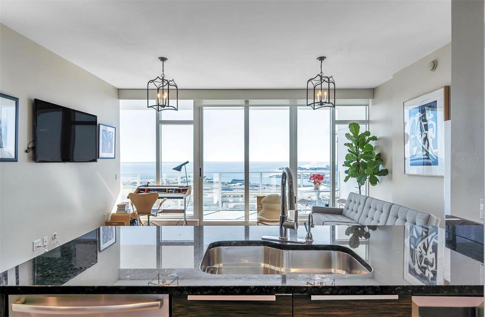175 1ST ST S #2804, ST PETERSBURG, FL, 33701