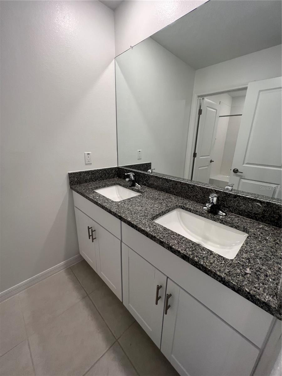 9825 BRANCHING SHIP TRCE, WESLEY CHAPEL, FL, 33545