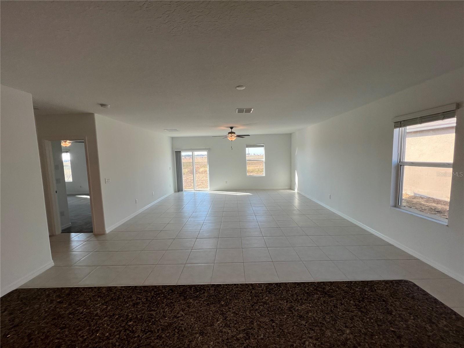 9825 BRANCHING SHIP TRCE, WESLEY CHAPEL, FL, 33545