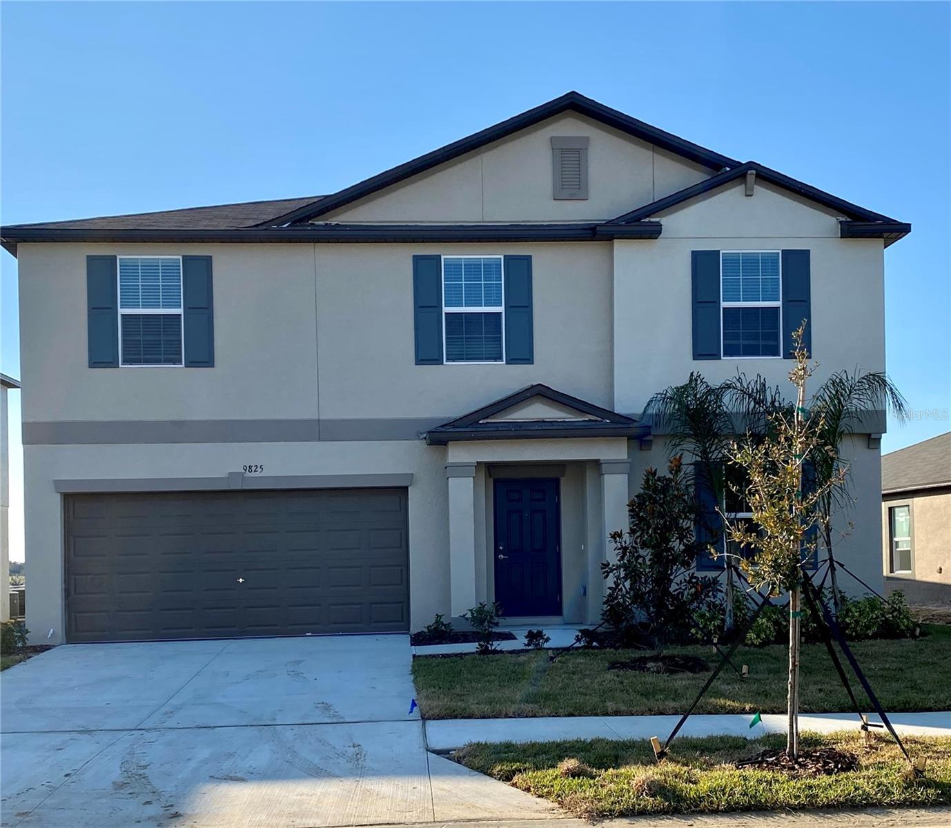 9825 BRANCHING SHIP TRCE, WESLEY CHAPEL, FL, 33545
