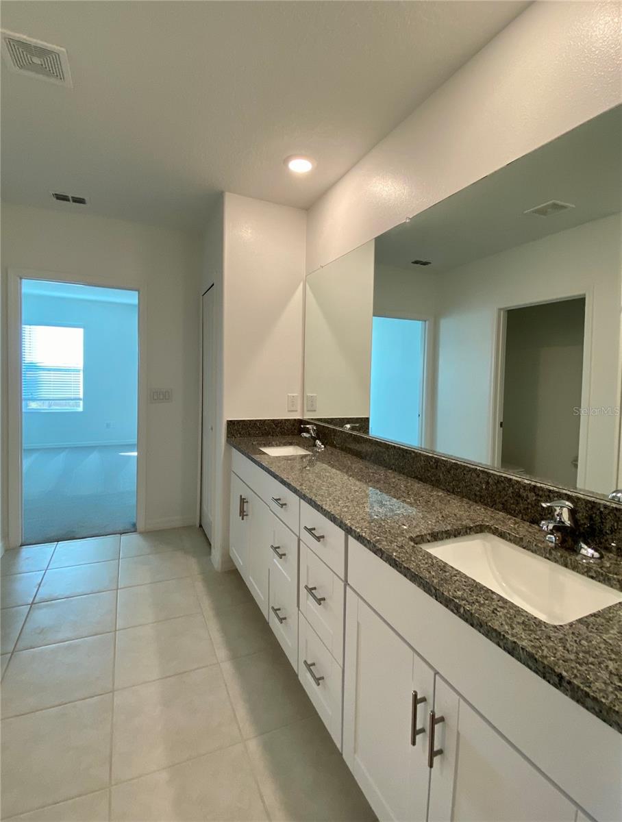 9825 BRANCHING SHIP TRCE, WESLEY CHAPEL, FL, 33545