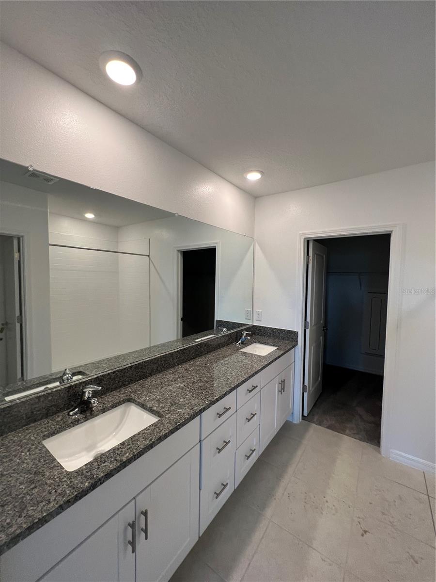 9825 BRANCHING SHIP TRCE, WESLEY CHAPEL, FL, 33545