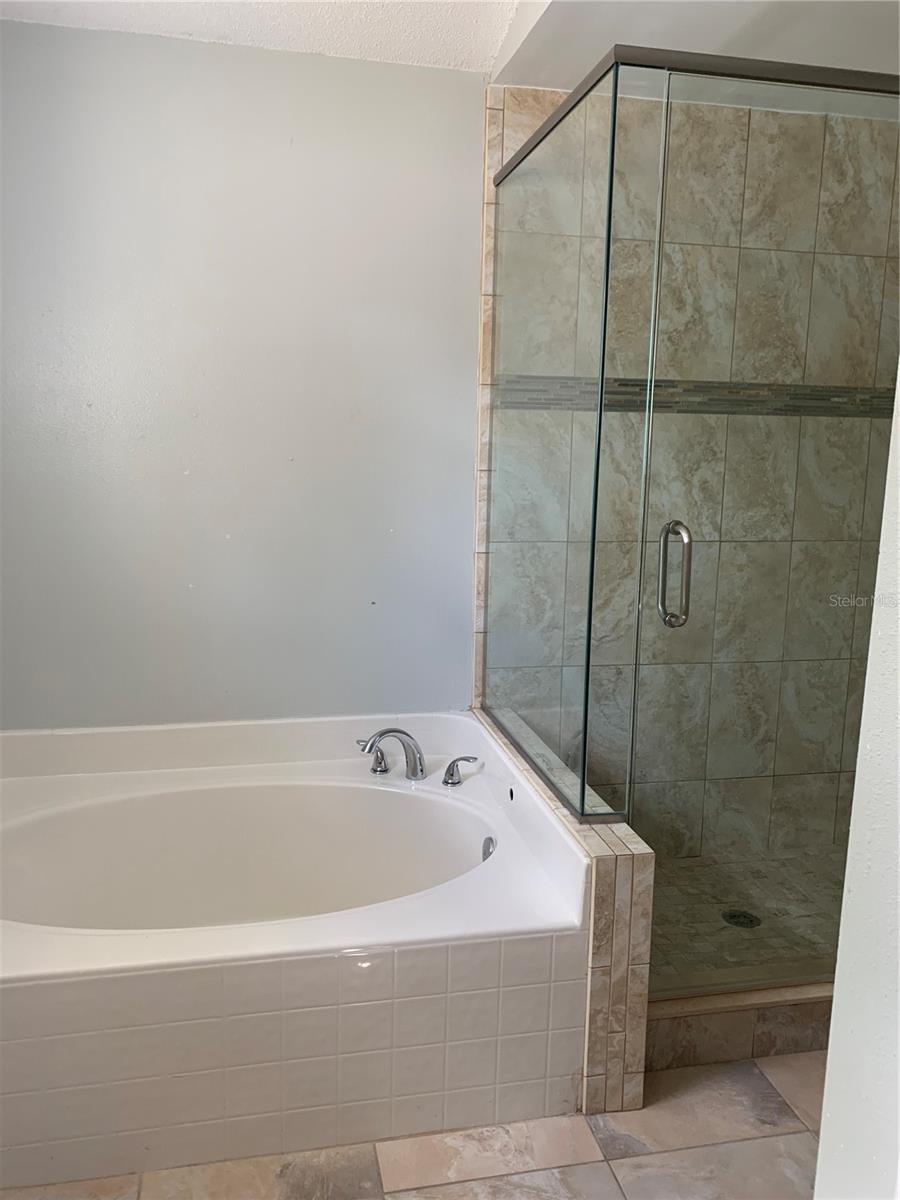 10006 DEAN CHASE BLVD, ORLANDO, FL, 32825