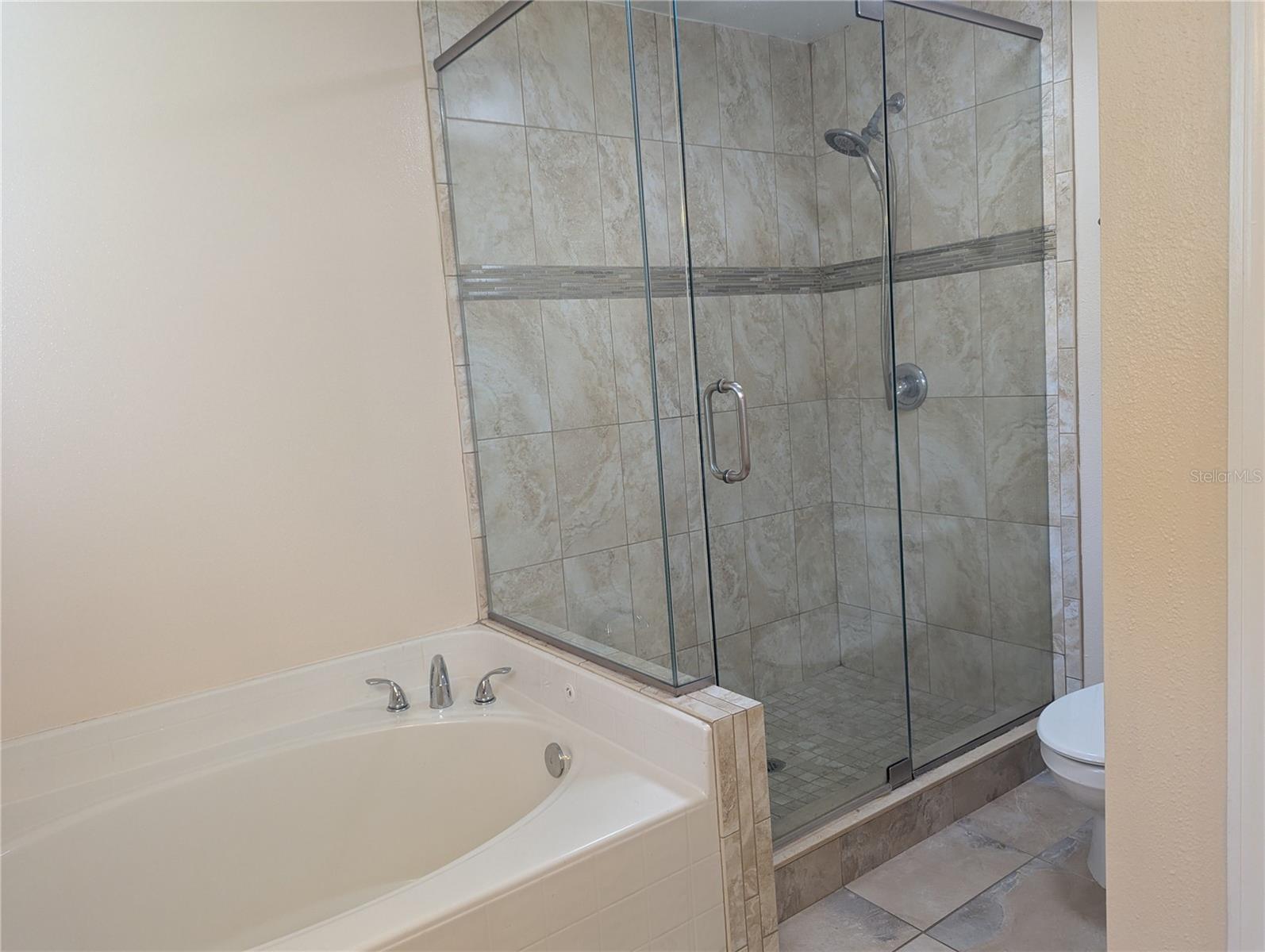 10006 DEAN CHASE BLVD, ORLANDO, FL, 32825