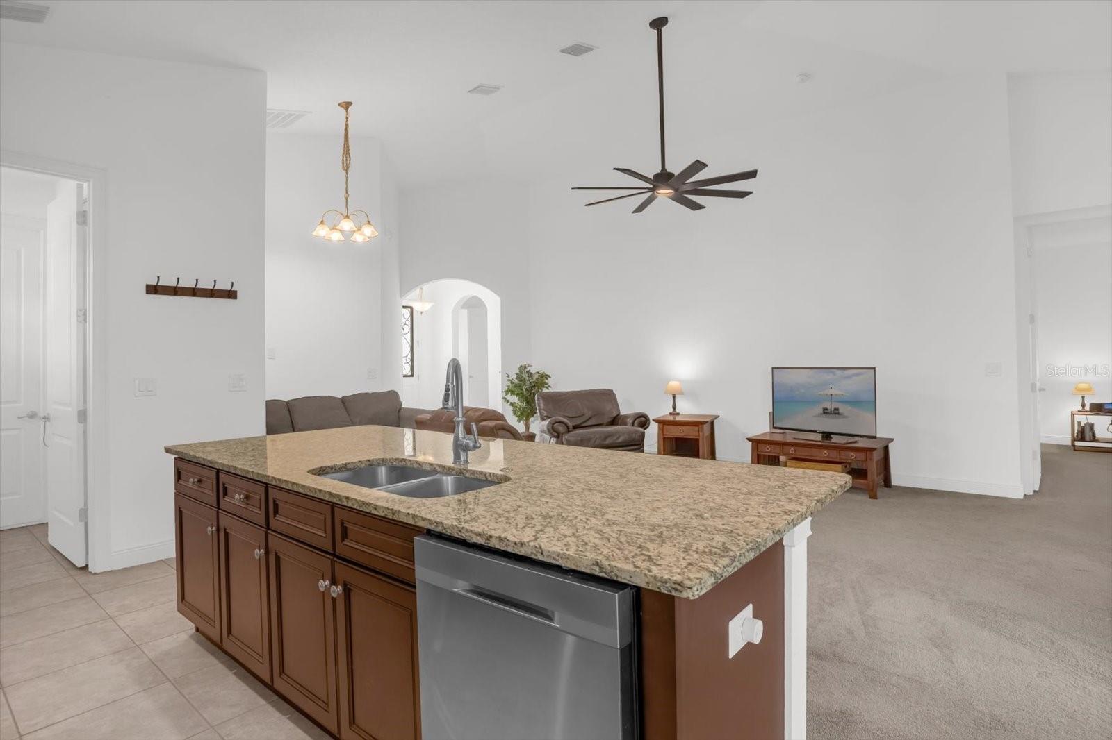 699 S DIXIE DR, HOWEY IN THE HILLS, FL, 34737