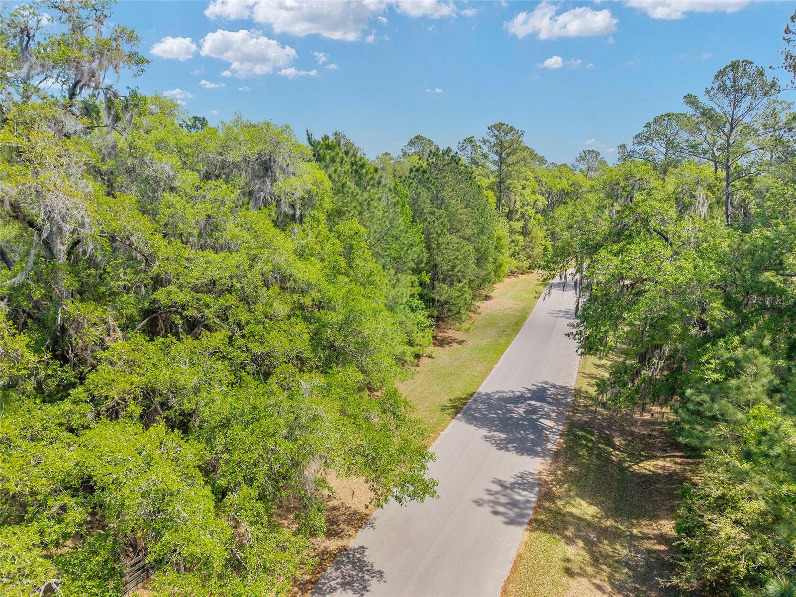 TBD SW 144 COURT RD, OCALA, FL, 34482