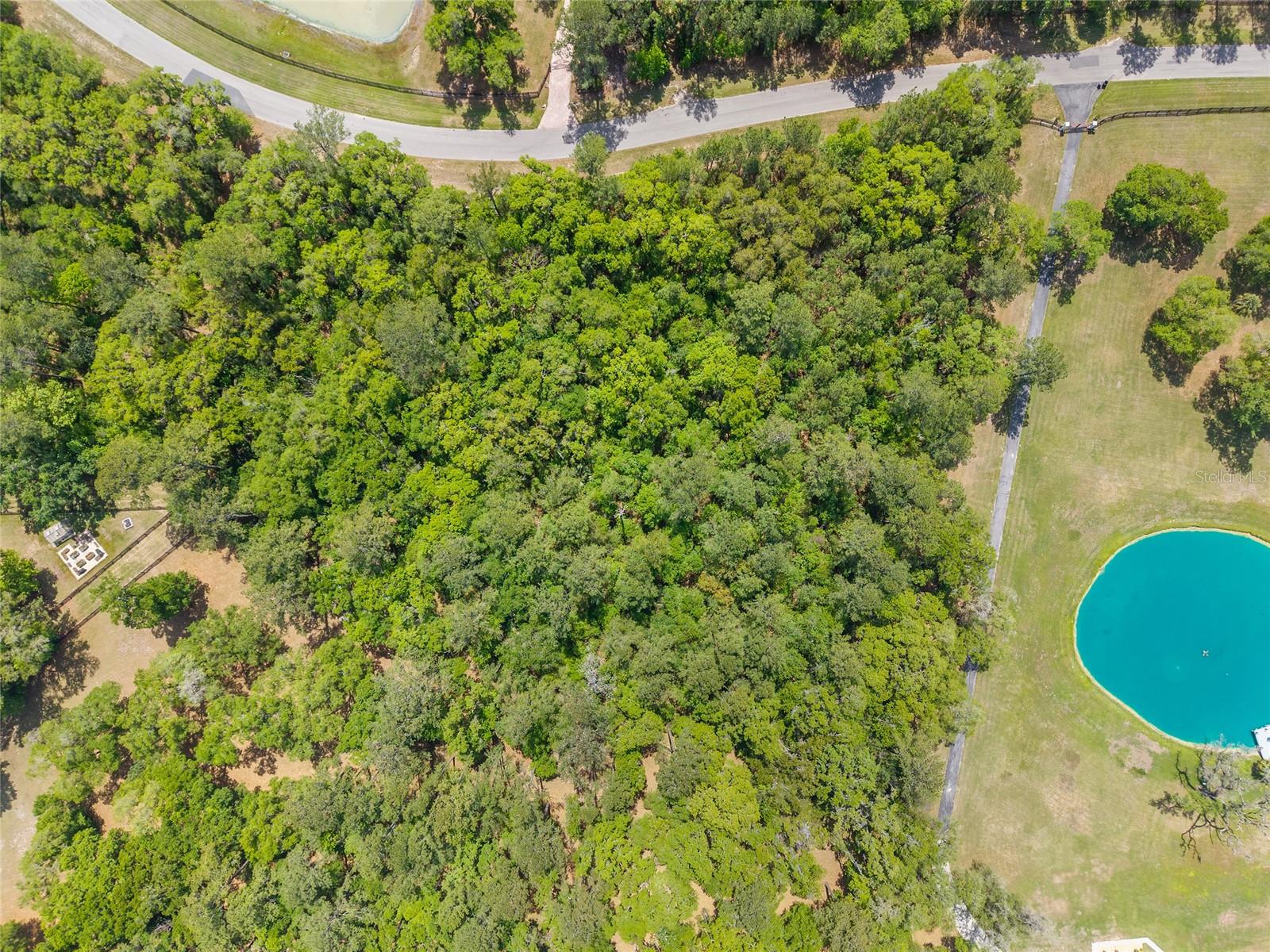 TBD SW 144 COURT RD, OCALA, FL, 34482